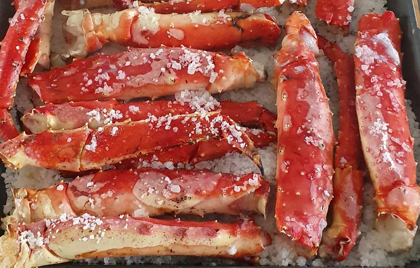 Crabe royal en Varanger