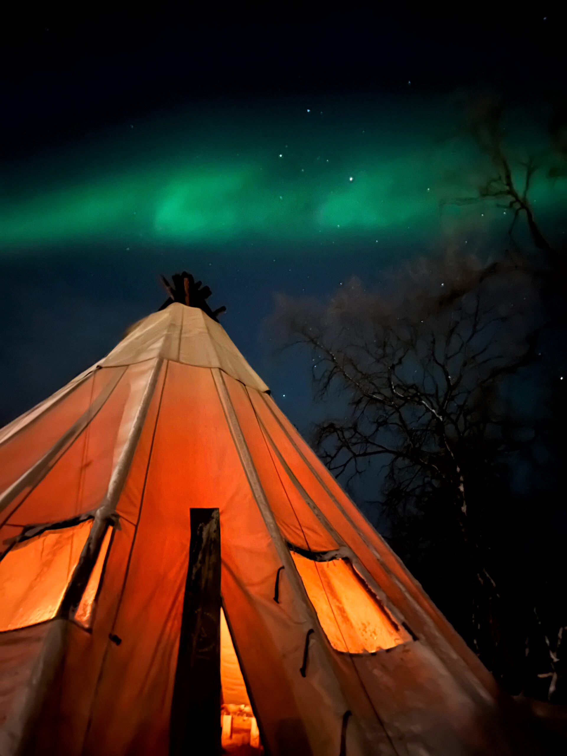Dîner sous le lavvo sami