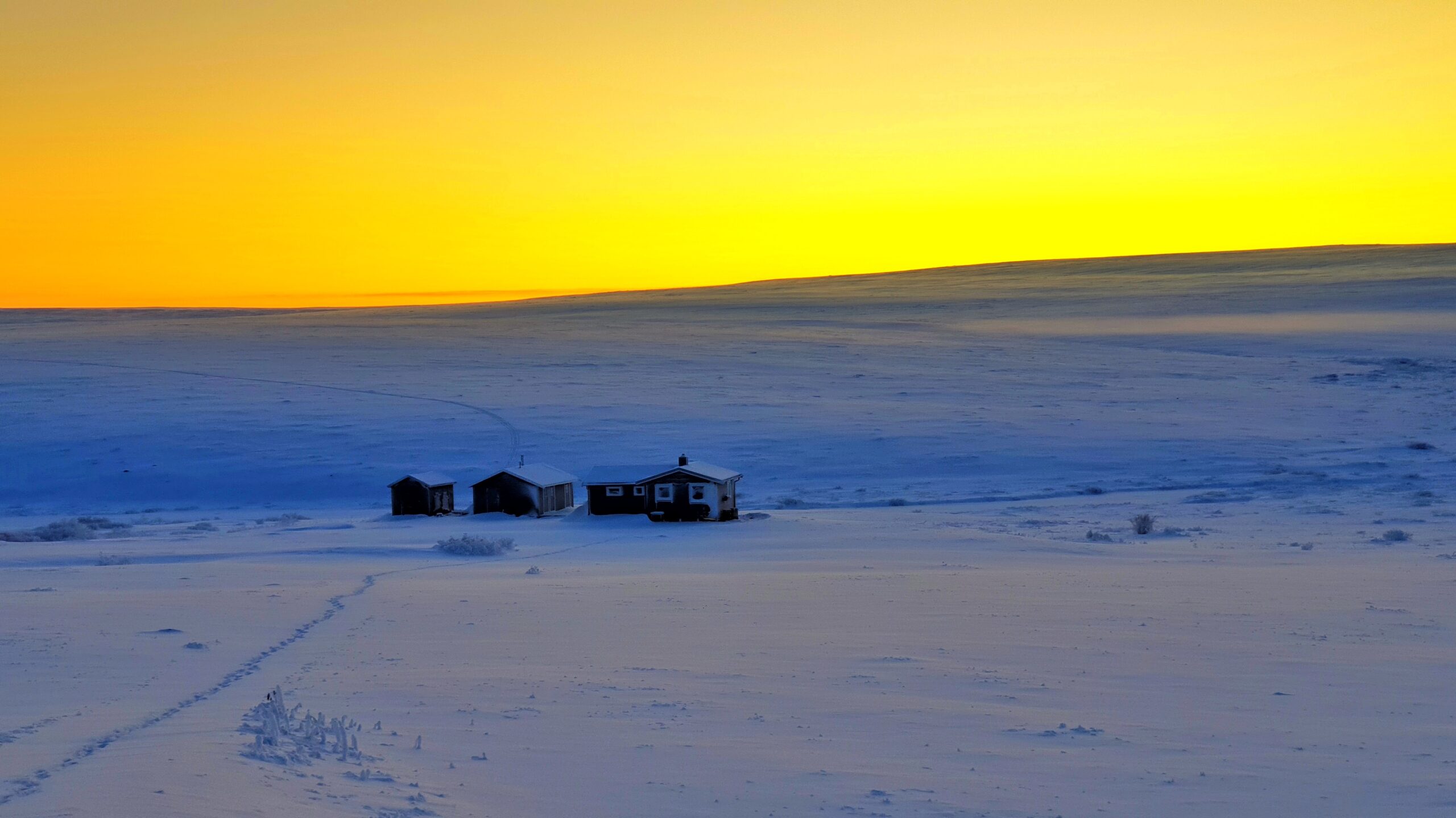 La toundra arctique